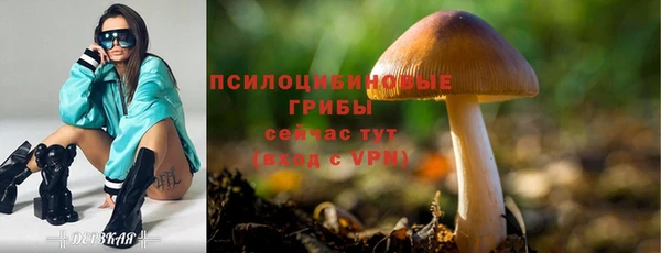 хмурый Алзамай