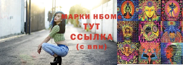 хмурый Алзамай