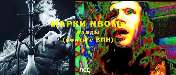 хмурый Алзамай