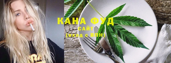 хмурый Алзамай