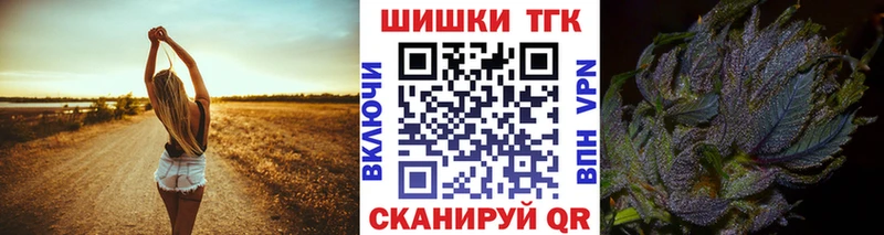 Бошки Шишки планчик  Гвардейск 